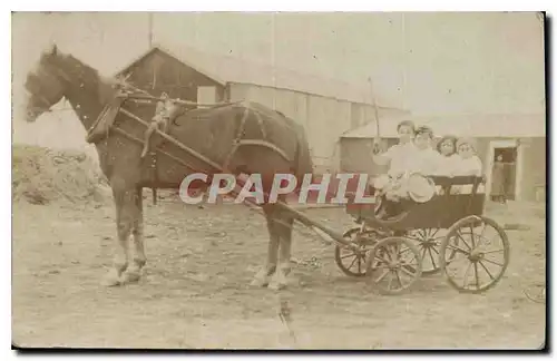 CARTE PHOTO Enfants Caleche Cheval