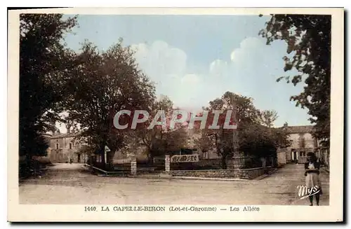 Cartes postales La Capelle Biron Lol et Garonne Les Allees