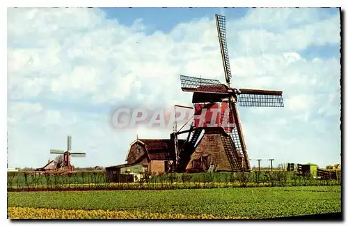 Cartes postales Hollandse Molen