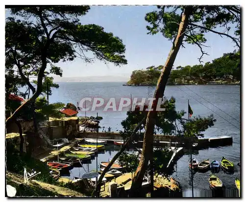 Cartes postales Cote d'Azur Toulon Port de Mejean