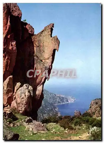 Cartes postales Couleurs et Lumiere de France Les Calanques