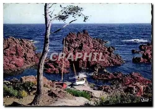 Cartes postales Reflets de la Cote d'Azur La Petite Calanque