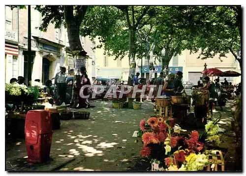 Cartes postales Manosque BA Marche de Provence Place de l'Hotel de Ville