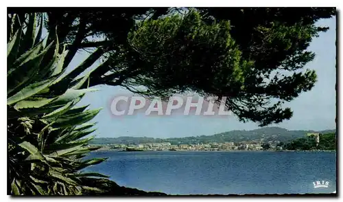 Cartes postales Reflets de la Mediterranee Une large baie des agaves un bouquet de pins tortures par les vents l