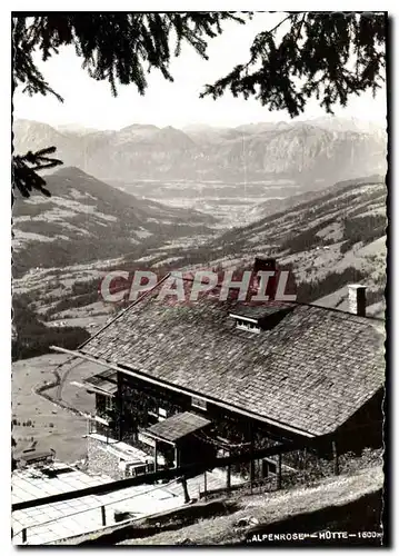 Cartes postales moderne Alpenrose Hutte bei Westgendorf Tyrol