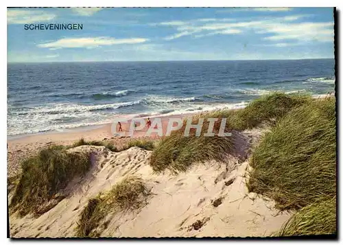 Cartes postales moderne Scheveningen