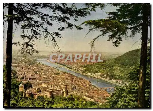 Cartes postales moderne Heidelberg Blick vom Rindenhauschen