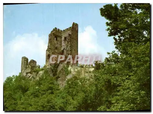 Cartes postales moderne  Konigswinter am Rhein Burg Drachenfels