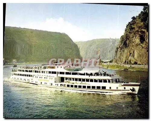 Cartes postales moderne  MS Deutschland Koin Dusseldorfer Rheindampfschiffahrt Bateau