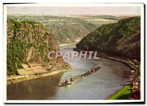 Cartes postales moderne Der Rhein Die Loreley und thr Feisental