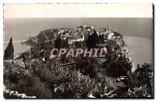 Cartes postales moderne La Principaute de Monaco  Le Rocher