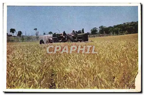 Cartes postales moderne Australie