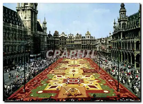 Cartes postales moderne Bruxelles Brussel Grand Place Tapis de fleurs