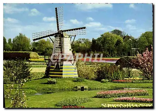 Cartes postales moderne Holland Bloemenland Moienland Moulin a vent