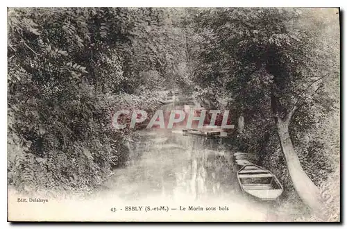 Cartes postales Esbly Le Morin sous bois