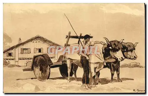 Cartes postales Folklore Attelage basque par Raoul Serres