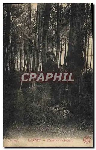 Cartes postales Landes Resiniers au travail (Folklore) TOP
