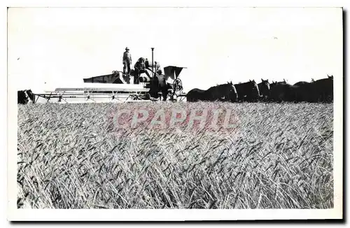 CARTE PHOTO Machine agricole