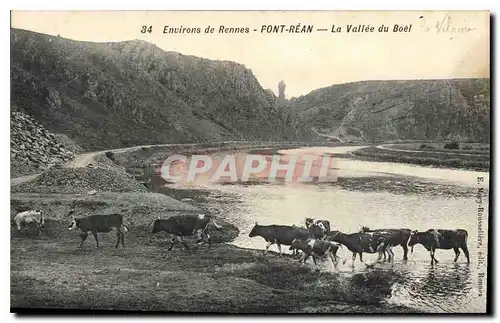 Cartes postales Environs de Rennes Pont Rean La Vallee du Boel Vaches