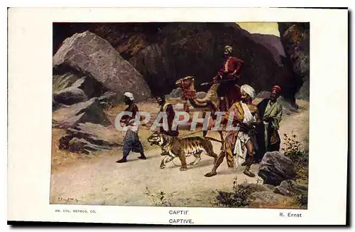 Cartes postales Captif  Ernst Tigre Chameau