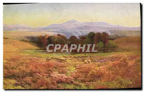 Cartes postales Pail Le soir au Mont Sabot