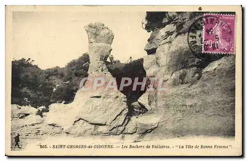 Cartes postales Saint Georges de Didonne Les Rochers de Vallieres La Tete de bonne femme