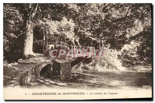 Ansichtskarte AK Chartreuse de Montrieux La riviere du Capeau