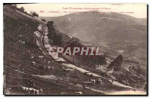 Cartes postales Les Pyrenees Centrales Luchon Moutons Descente de la route vers Luchon