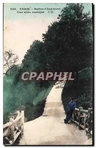 Ansichtskarte AK Paris Buttes Chaumont Une allee rustique