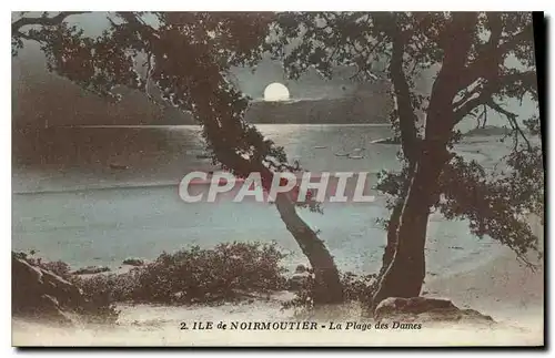 Cartes postales Ile de Noirmoutier La Plage des Dames