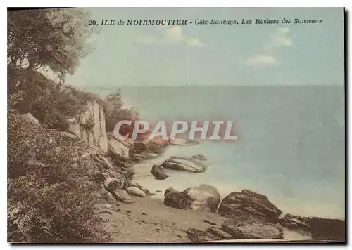 Cartes postales Ile de Noirmoutier Cote Sauvage Les Rochers des Souzeaux