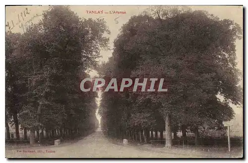 Cartes postales Tanlay l'Avenue