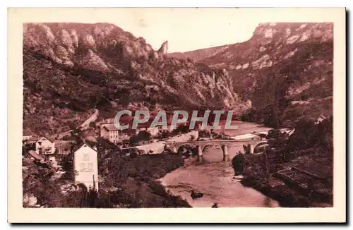 Cartes postales Les Vignes Vue generale