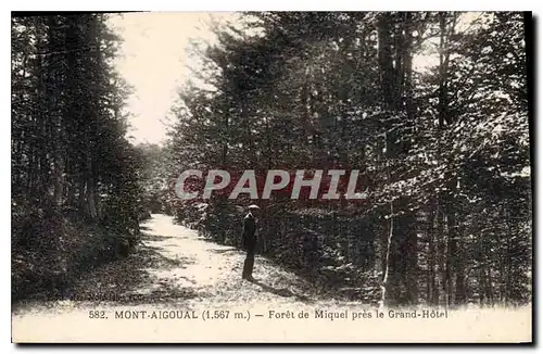 Ansichtskarte AK Mont Aigoual (1567 m) Foret de Miquel pres le Grand Hotel