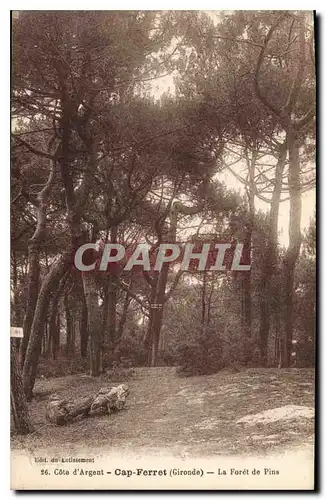 Ansichtskarte AK Cote d'Argent Cap Ferret (Gironde) La Foret de Pins