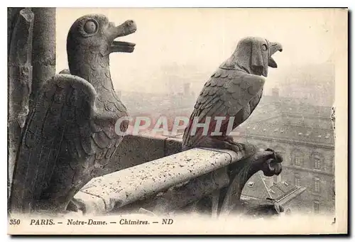 Ansichtskarte AK Paris Notre Dame Chimeres