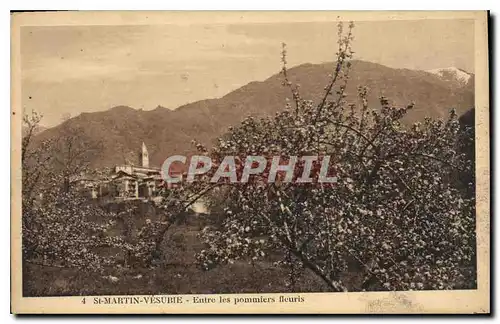 Cartes postales St Martin Vesubie Entre les Pommiers fleuris