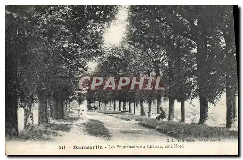 Cartes postales Dammartin Les Promenades du Chateau Cote Nord