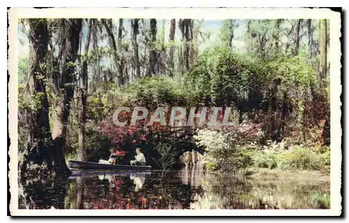 Cartes postales Cypress Gardens Oakley South Caroline Route 52 Twenty four miles North of Charleston