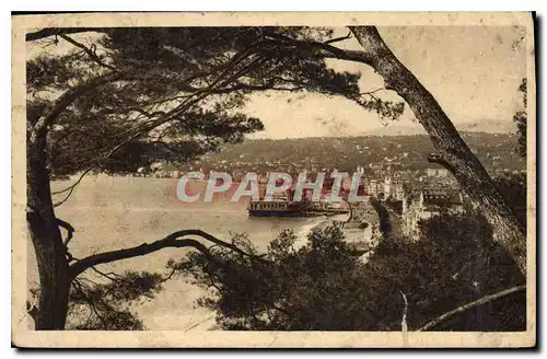 Cartes postales Nice Etude les Pins