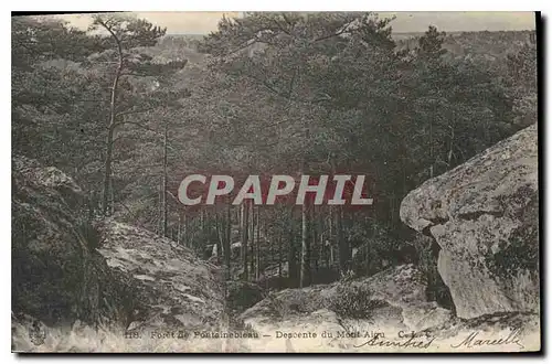 Ansichtskarte AK Foret de Fontainebleau Descente du Mont Aigu