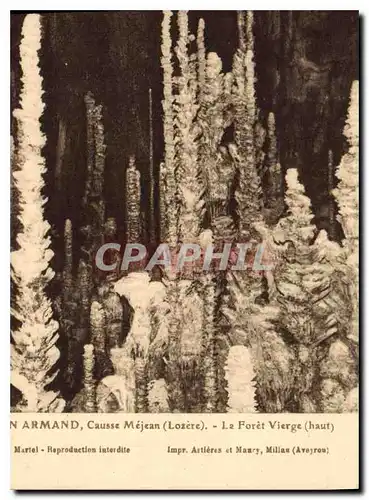 Cartes postales Aven Armand Causse Mejean (Lozere) La Foret VIerge (Haut)