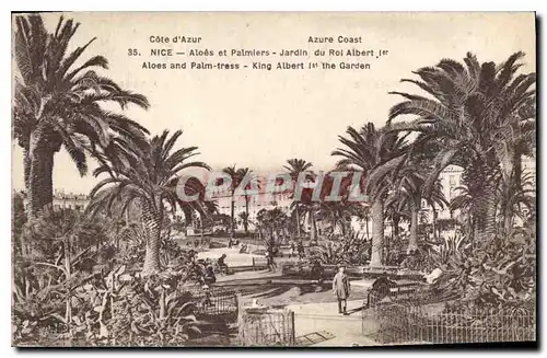 Cartes postales Nice Cote d'Azur Aloes et Palmiers Jardin du Roi Albert 1er