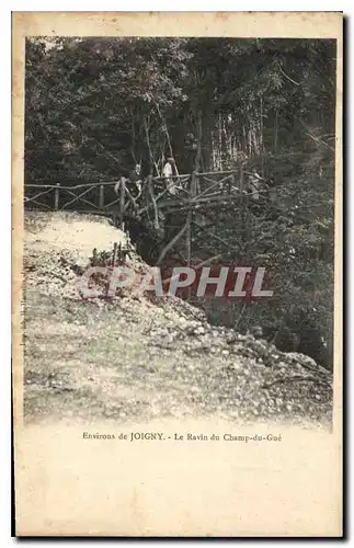 Cartes postales Environs de Joigny Le Ravin du Champ du Gue