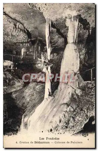 Cartes postales Les Pyrenees Les Grottes de Betharram Colonne de Palmiers