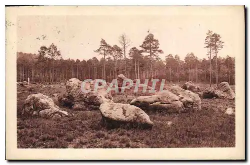 Ansichtskarte AK Foret de Fontainebleau Chaos des Fees La Tortues