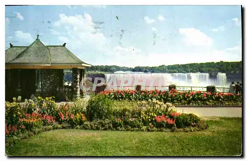 Cartes postales Floral Beauty of the Parks Surrounding Niagara Falls
