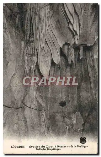 Cartes postales Lourdes Grottes du Loup a 10 minutes de la Basilique Salle des Coquillages