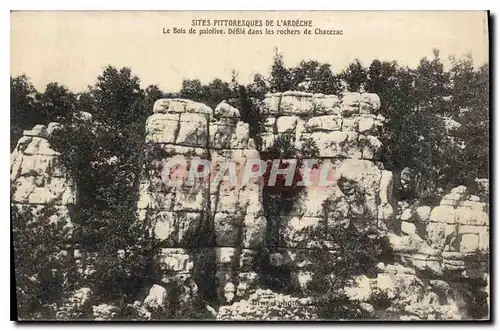 Cartes postales Sites Pittoresques de l'Ardeche Le Bois de palolive Defile dans les roches de Chacezac