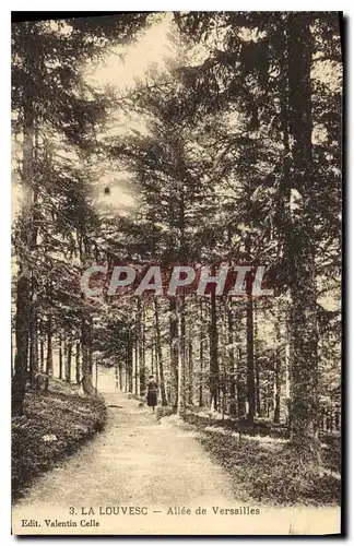 Cartes postales La Louvesc Allee de Versailles